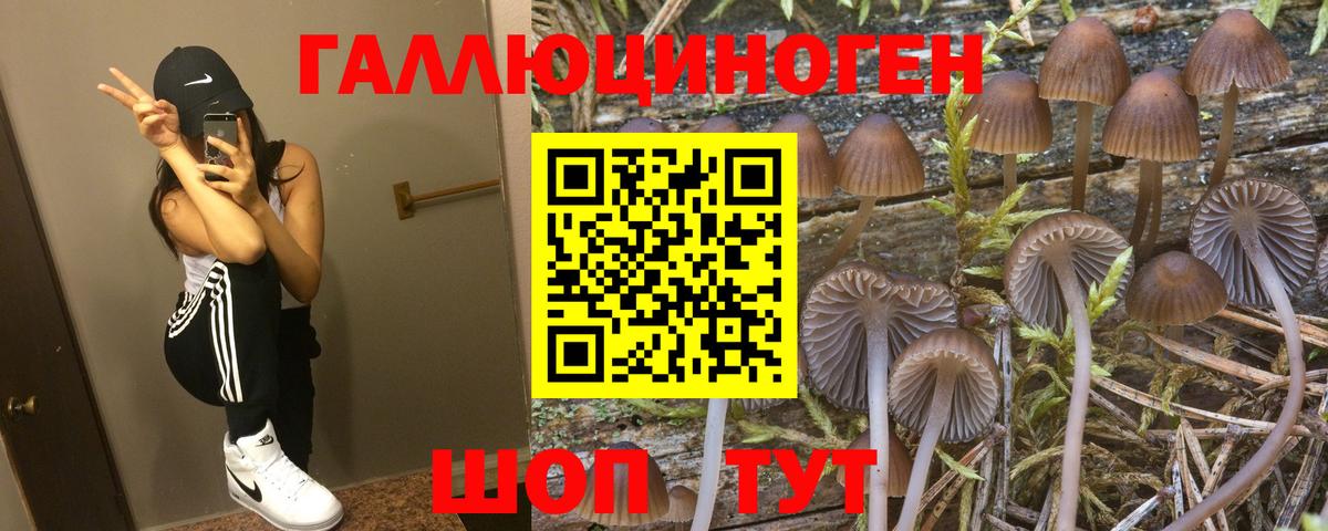 Галлюциногенные грибы мицелий Мурманск